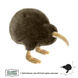 Pluszak Kiwi All About Nature