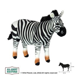 Pluszak Zebra All About Nature