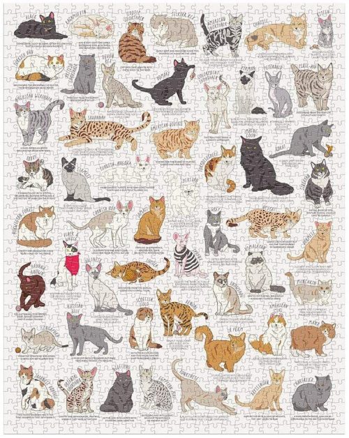 Puzzle Cat Lover’s (1000 elementów)